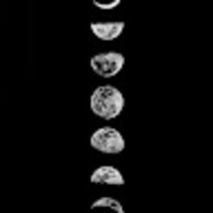 Meet your Posher, Meghan